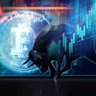 codeskynet's profile picture.