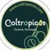 COLTROPICOS (@coltropicos) Twitter profile photo