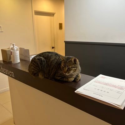 idongye86818910's profile picture. 