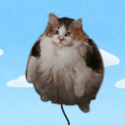 BalloonCatSol Profile Picture