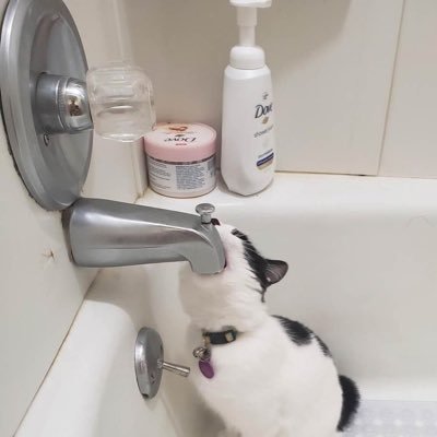 cegilyedam's profile picture. thought daughter