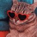 ✨🪩🤸🏻♀️🌝🌱 (@caitieb48) Twitter profile photo ✨🪩🤸🏻♀️🌝🌱 (@caitieb48) Twitter profile photo