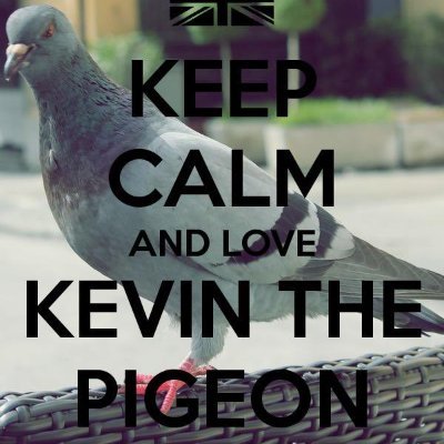 Kevin's secret account