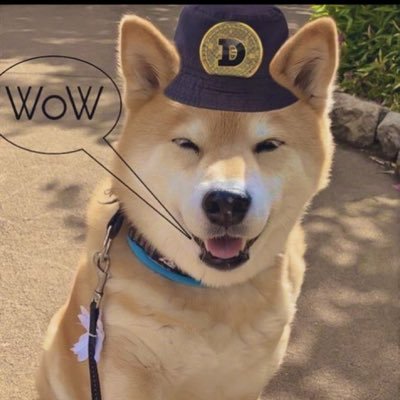 #DOONLYGOODEVERYDAY 🐕🐕. #dogecoin meme creator , a true support of $Doge https://t.co/QS8dUrcxd2…. follow me @DOGEBOY001 ~🐕🕊️