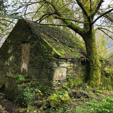 Hand made cards from original photographs of Ireland. Photographic prints, mounted and framed. Occasional books. 0872231225 catherineketch@gmail.com