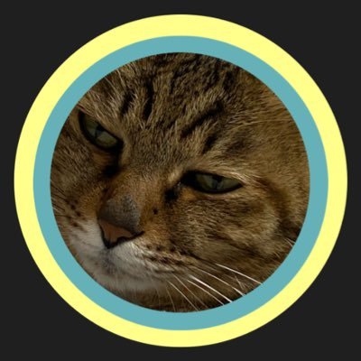 ノースウェア - Search / X