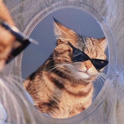 kaysyazwani's profile picture. إِنَّ مَعِيَ رَبِّي سَيَهْدِينِ