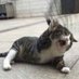 liway lewy (@sraigry) Twitter profile photo liway lewy (@sraigry) Twitter profile photo