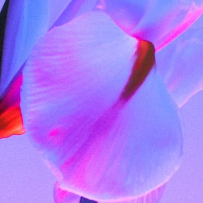 Okuninoshi's profile picture. fullstack developer
