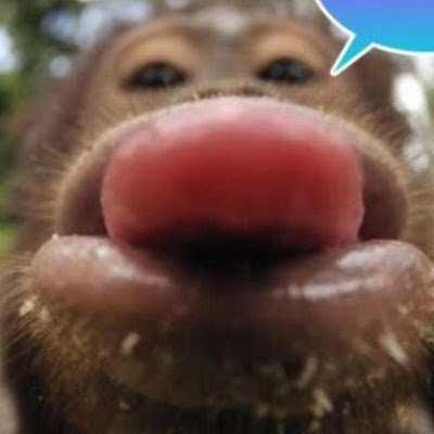 monkeymagic0801's profile picture. 