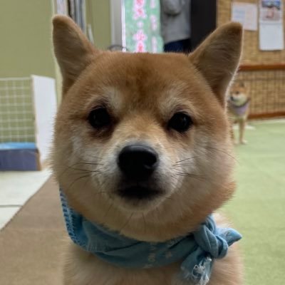 YouXi89791's profile picture. 