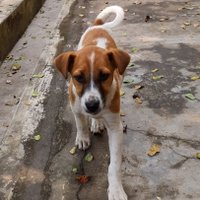 Sanju (@newttscammander) 's Twitter Profile