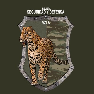 SeguridadyDefensaVZLA