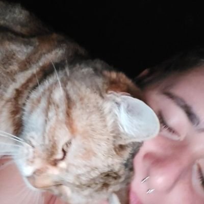 fogliechecadono's profile picture. camomillati n'attimo