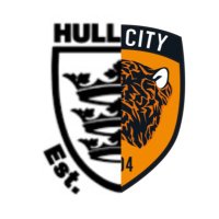 iTigers(@iBuyFootyShirts) 's Twitter Profile Photo