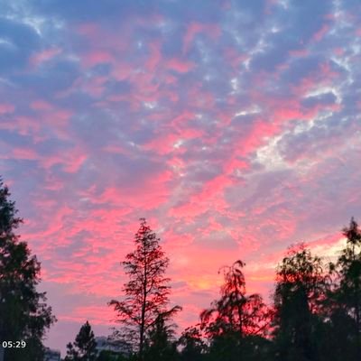 WSBChariman's profile picture. 