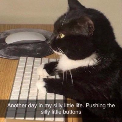 ahndeezon's profile picture. gonna start a revolution from my bed: cuanto la quieres????