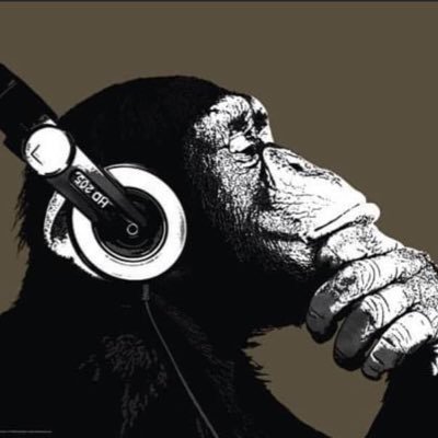 zack_defi's profile picture. 