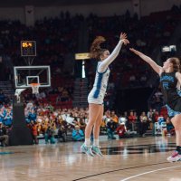 Abby Hollis (@abbyhollis4) 's Twitter Profile