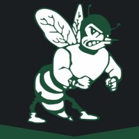 Malvern Track and Field(@MalvernHornetTF) 's Twitter Profile Photo