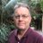Mark Curtis