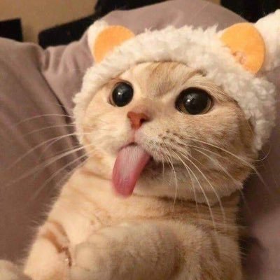 zcwow666's profile picture. 谢谢关注