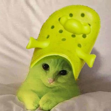 $CROC CAT ON TOP

WE AINT EVER GIVING UP