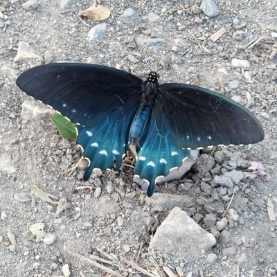 NancyRo7215's profile picture. 