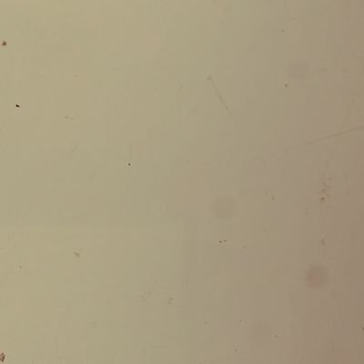 josem14640's profile picture. 