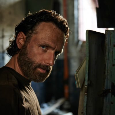 _TWDFrance Profile Picture