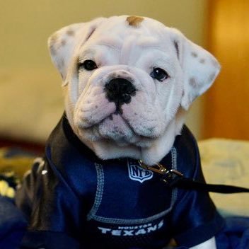 Exit_Society's profile picture. just me, my dog, and a few things that interest me. US Chessmaster. NASA human space flight engineer.