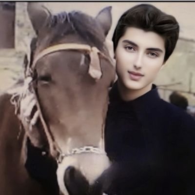 farzadk022's profile picture. farzad. Khosravi