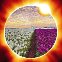 yekta (@yekta1yekta) 's Twitter Profile Photo yekta (@yekta1yekta) 's Twitter Profile Photo