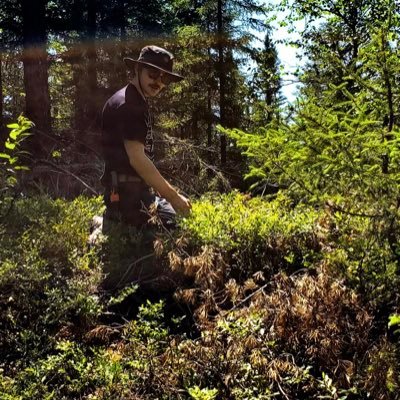 Étudiant en développement durable du territoire Québec vert🌿, Québec libre!⚜️