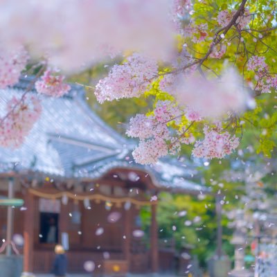 HIROSAYO's profile picture. ごく普通のカメラマン。推しへの写真はラブレター💌 撮影依頼が欲しい。