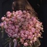 LR_0246's profile picture. 