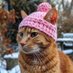 Hobbes Wif Hat (@hobbeswif) Twitter profile photo