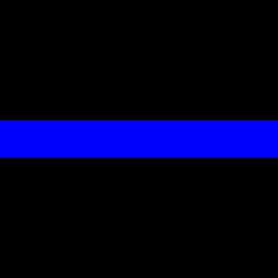 CPP, PCI, PSP, CPTED, Situational Awareness/A.V.E.R.T. Instructor (Active Violence Emergency Response Training)