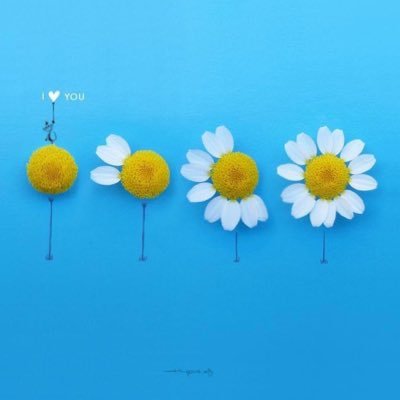 Mrs_PPP's profile picture. 