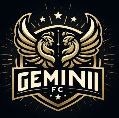 Gemini FC - DM to join this new team💛🖤