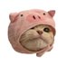 PigCat π·πΌ (@pigcatsolana) Twitter profile photo PigCat π·πΌ (@pigcatsolana) Twitter profile photo