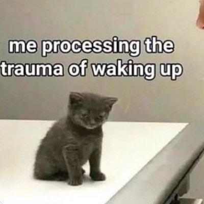 ppkukikuki's profile picture. 