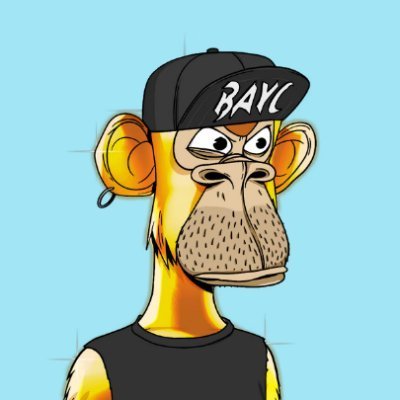 10-year crypto veteran | Providing Liquidity & Trading Yuga NFTs 🦍 | Mostly Shitposting, Sharing Wins & Losses 📈 | Founder 
@AirdropAlertco (Permabearish2)