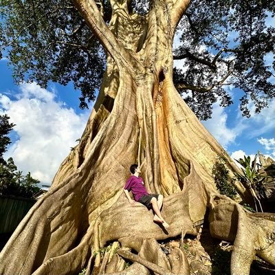 ZouHanson's profile picture. 