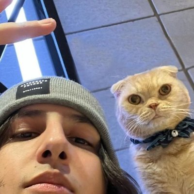 Post diario de Missa como un gatito o al menos un parecido 🐱