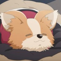たびぼっち🏕車中泊旅&キャンパー (@botchmen1986) 's Twitter Profile