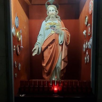 Catholic Christian, believer and adorer of The Most Sacred Heart of Jesus. Sinner trying to become holy by the grace of God.