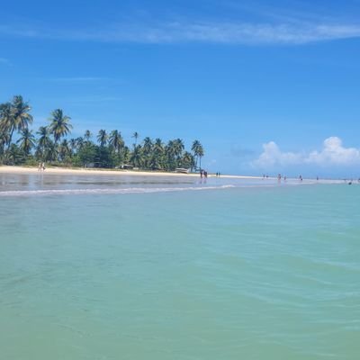 Yapondre's profile picture. La perseverancia