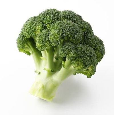 dededekideki's profile picture. 大阪大学albatross18期（25代）操舵設計&フレーム&TFDでした