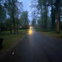 1251851 (@luckyduck17122) 's Twitter Profile